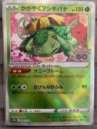 かがやくフシギバナ K③