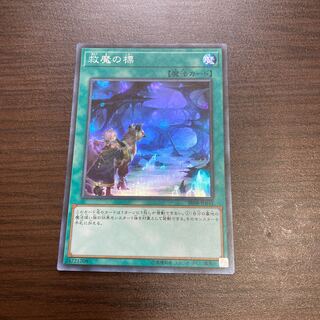 Dwimmered Path Super Rare