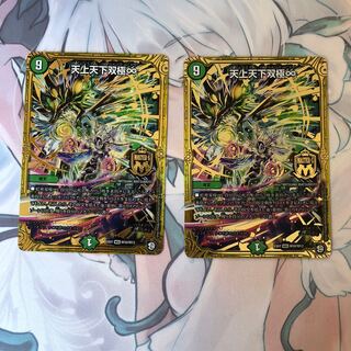 天上天下双極∞