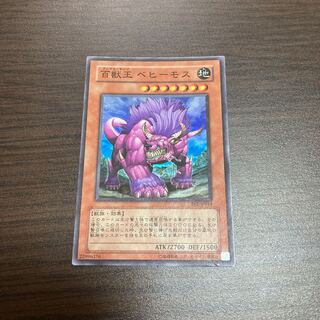 百獣王 ベヒーモス スーパーレア