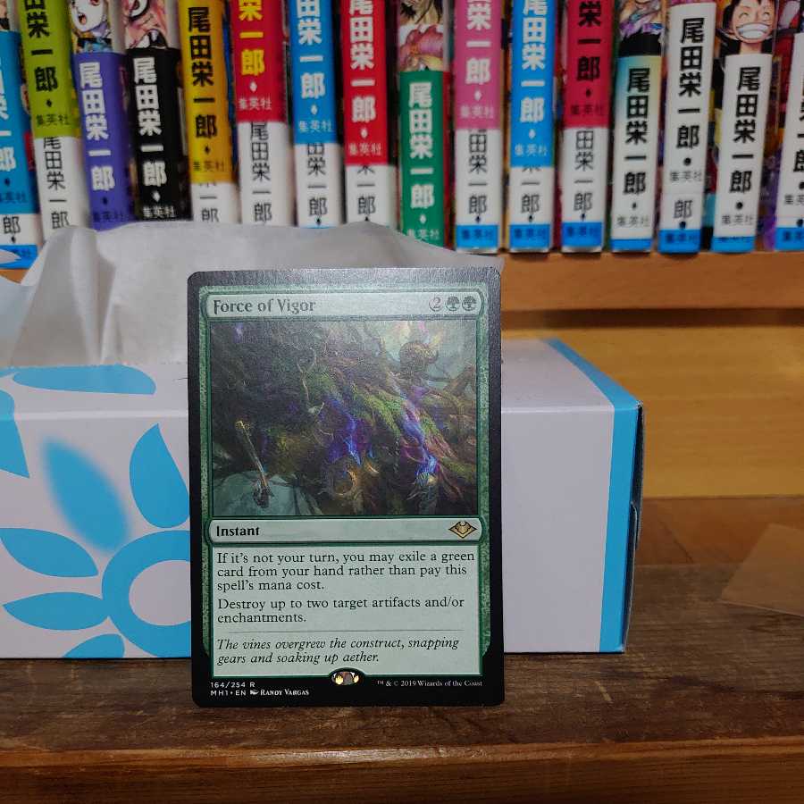 Force of Vigor(English)