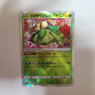 かがやくフシギバナ K