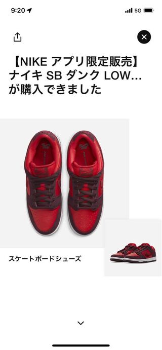 NIKE SB DUNK LOW チェリー 28cm