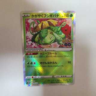 かがやくフシギバナ K