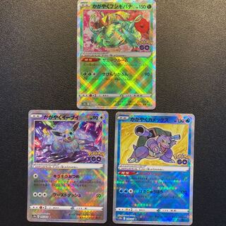 Eevee, Blastoise and Venusaur in the glare of the sun