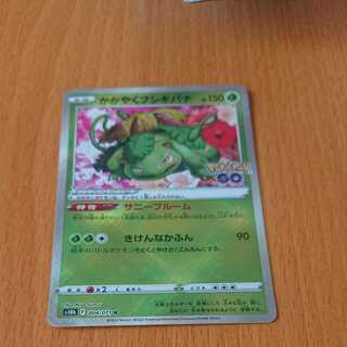 かがやくフシギバナ