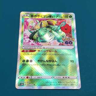 かがやくフシギバナ