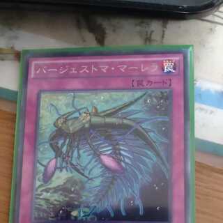 遮光カーテン 32cm