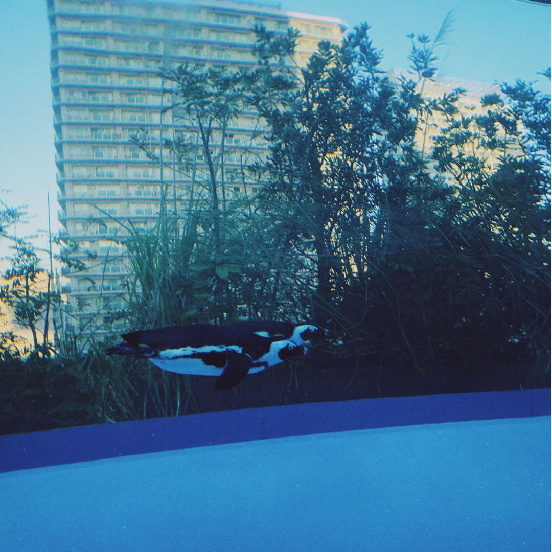 ヒロむーさん専用