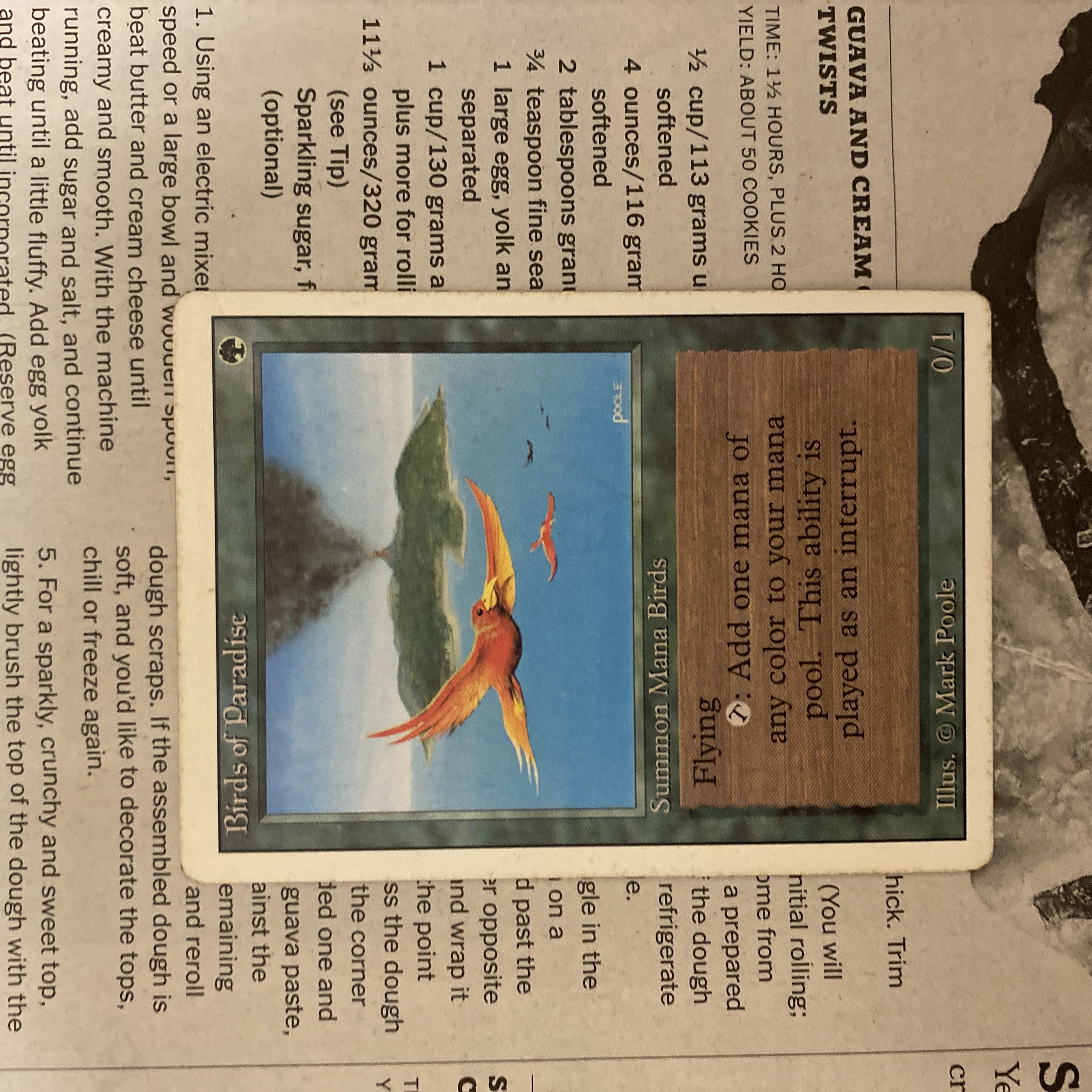 MTG Birds of Paradise 極楽鳥　リバイズド　3ED 1枚