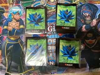 ブラックロータス　スリーブ95枚