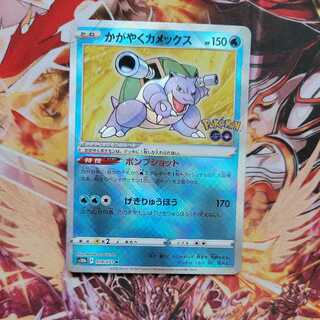 かがやくカメックス