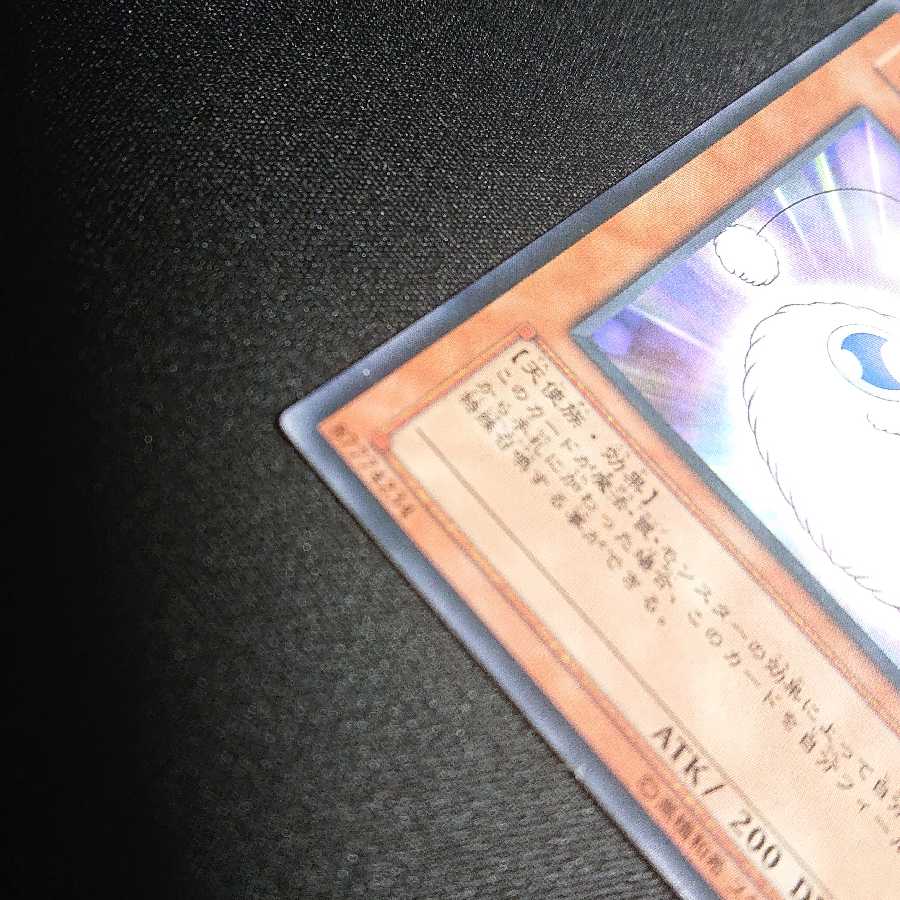 ワタポン【アンダーソン様専用】