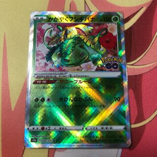 Glittering Venusaur K