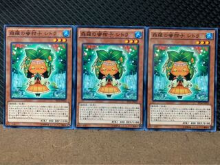 【ぽぽたん】遊戯王 8719 森羅の蜜柑子 シトラ 3枚 ノーマル