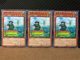 【ぽぽたん】遊戯王 8718 森羅の渡し守 ロータス 3枚 ノーマル