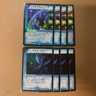 Initial - Marine Flower 4 each