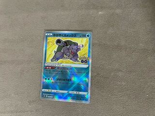 かがやくカメックス