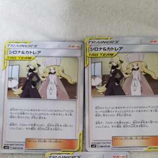 シロナ＆カトレア同梱包割出来ます