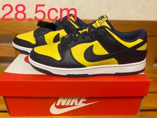 Nike Dunk Low "Michigan" 28.5cm