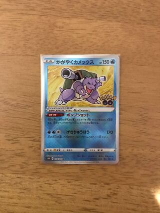 かがやくカメックス