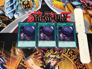 Foolish Burial Goods 5 Normal, set of 3 Tera.