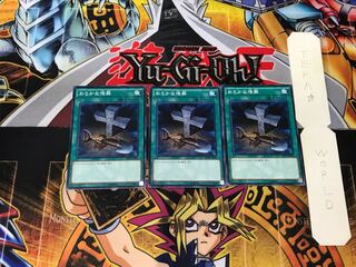 Foolish Burial 3 Normal 3-card set Tera