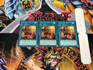 Trade-In 4 Normal, set of 3 Tera.