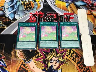 Melffy Hide-and-Seek 1 Normal, set of 3 Tera