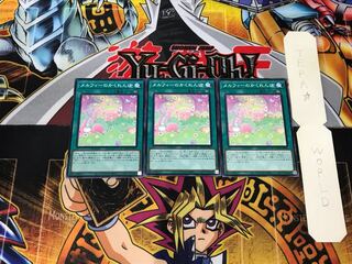 Melffy Hide-and-Seek 4 Normal, set of 3 Tera