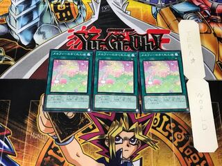 Melffy Hide-and-Seek 5 Normal, set of 3 Tera