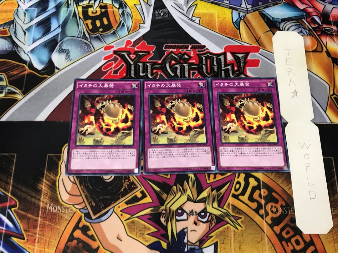 Ferret Flames 5 Normal, set of 3 Tera.