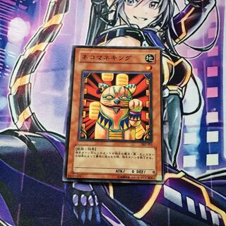 Neko Mane King [NR].