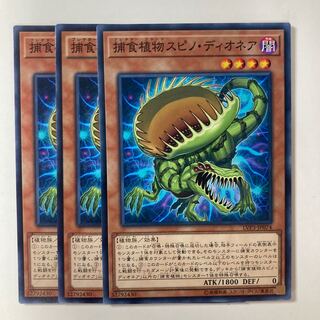 6016 Predaplant Spinodionaea ☆8199