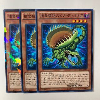 6018 Predaplant Spinodionaea ☆8201