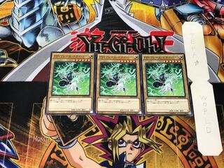 PSY-Frame Driver 3 Normal, set of 3 Tera