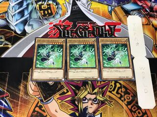 PSY-Frame Driver 5 Normal, set of 3 Tera