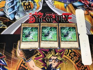 PSY-Frame Driver 6 Normal, set of 3 Tera