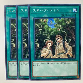 6033 Snake Rain Normal JP030