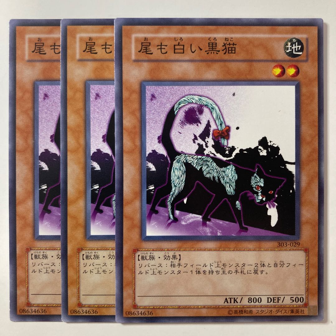 6042 尾も白い黒猫 ノーマル JP138