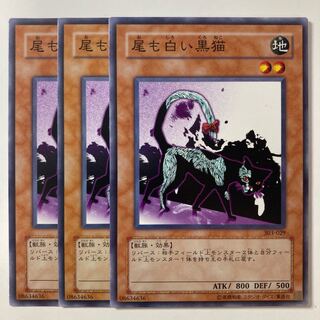 6042 尾も白い黒猫 ノーマル JP138