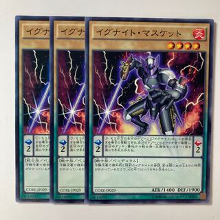 Igknight Paladin ☆8237