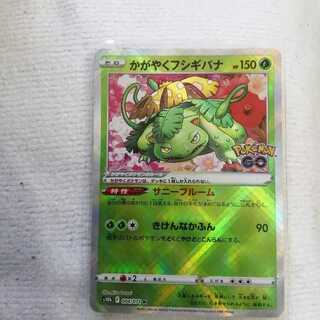 Glittering Venusaur Ditto Set