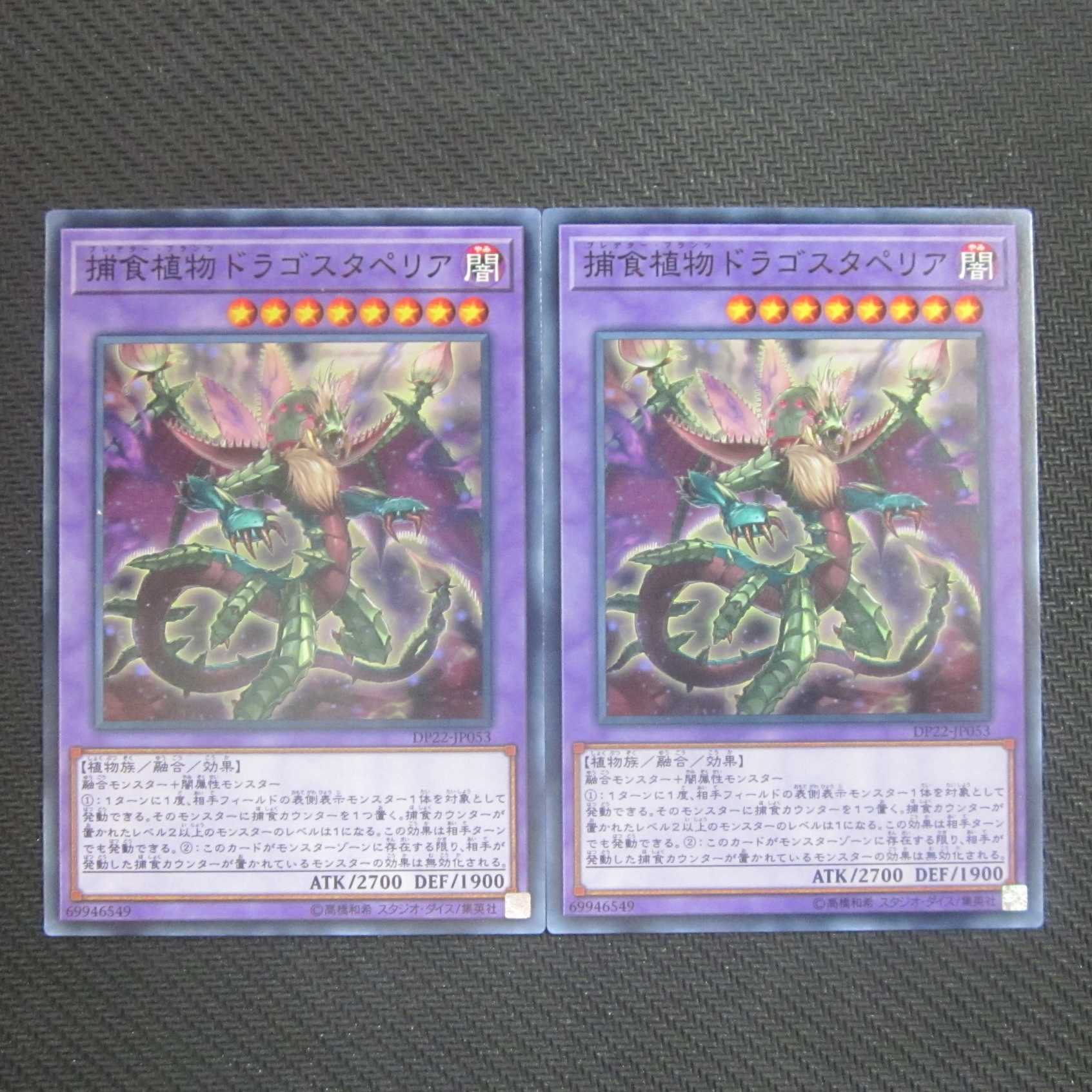 Predaplant Dragostapelia Normal Set of 2