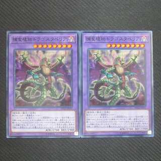 捕食植物ドラゴスタペリア　ノーマル　２枚セット