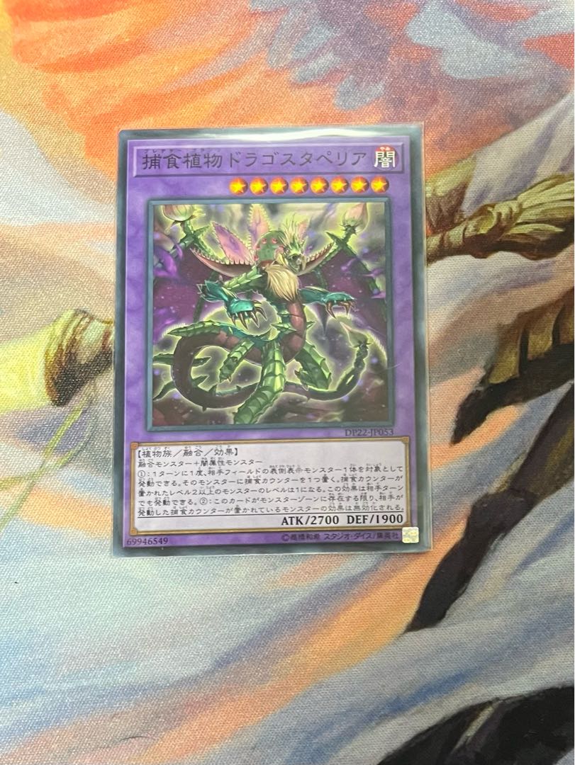 Predaplant Dragostapelia Normal