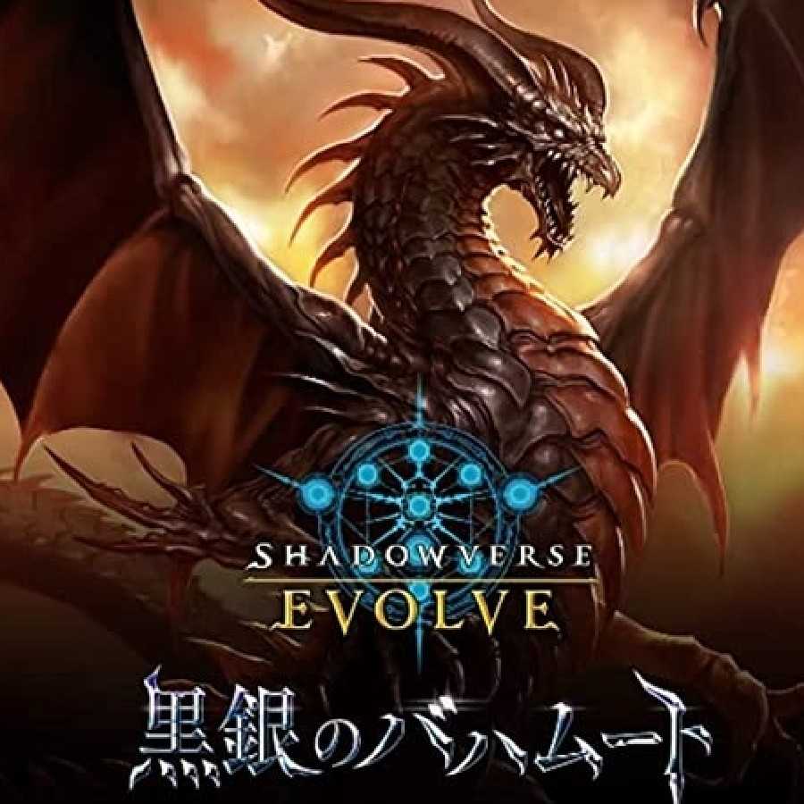 曽根田様専用 バハムート 3box 1枚