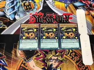 Hallohallo 4 Normal, set of 3 Tera.