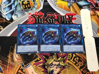 Paleozoic Cambroraster 4 Normal, set of 3 Tera.