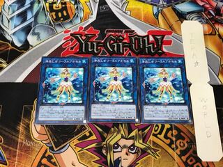 Marincess Coral Anemone 1 Normal, set of 3 Tera